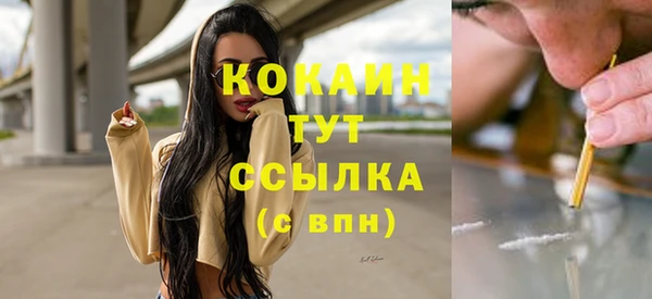 бошки Надым
