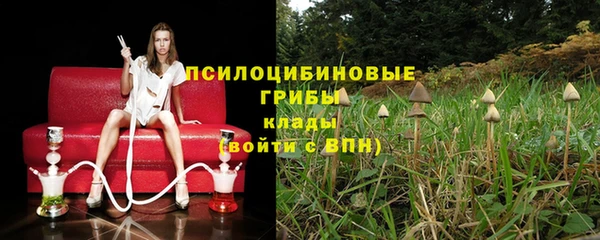 бошки Надым